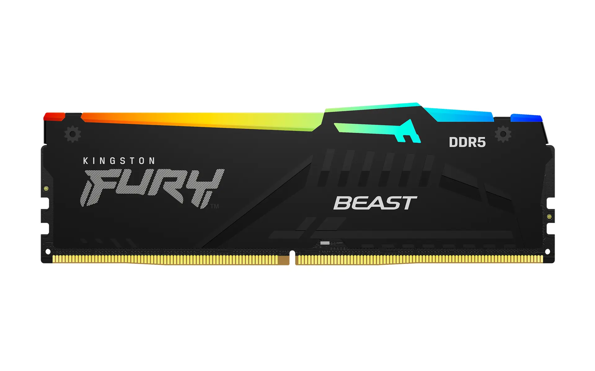Kingston FURY Beast RGB DDR5 black module, the official appearance shown for KF560C30BBEAK2-32; one module is pictured and this kit contains two